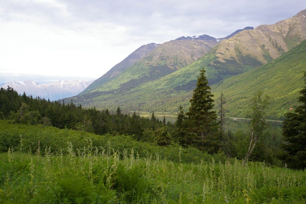 Bertha Creek Campground | Seward Hwy, Hope, AK 99605, USA | Phone: (907) 783-3242