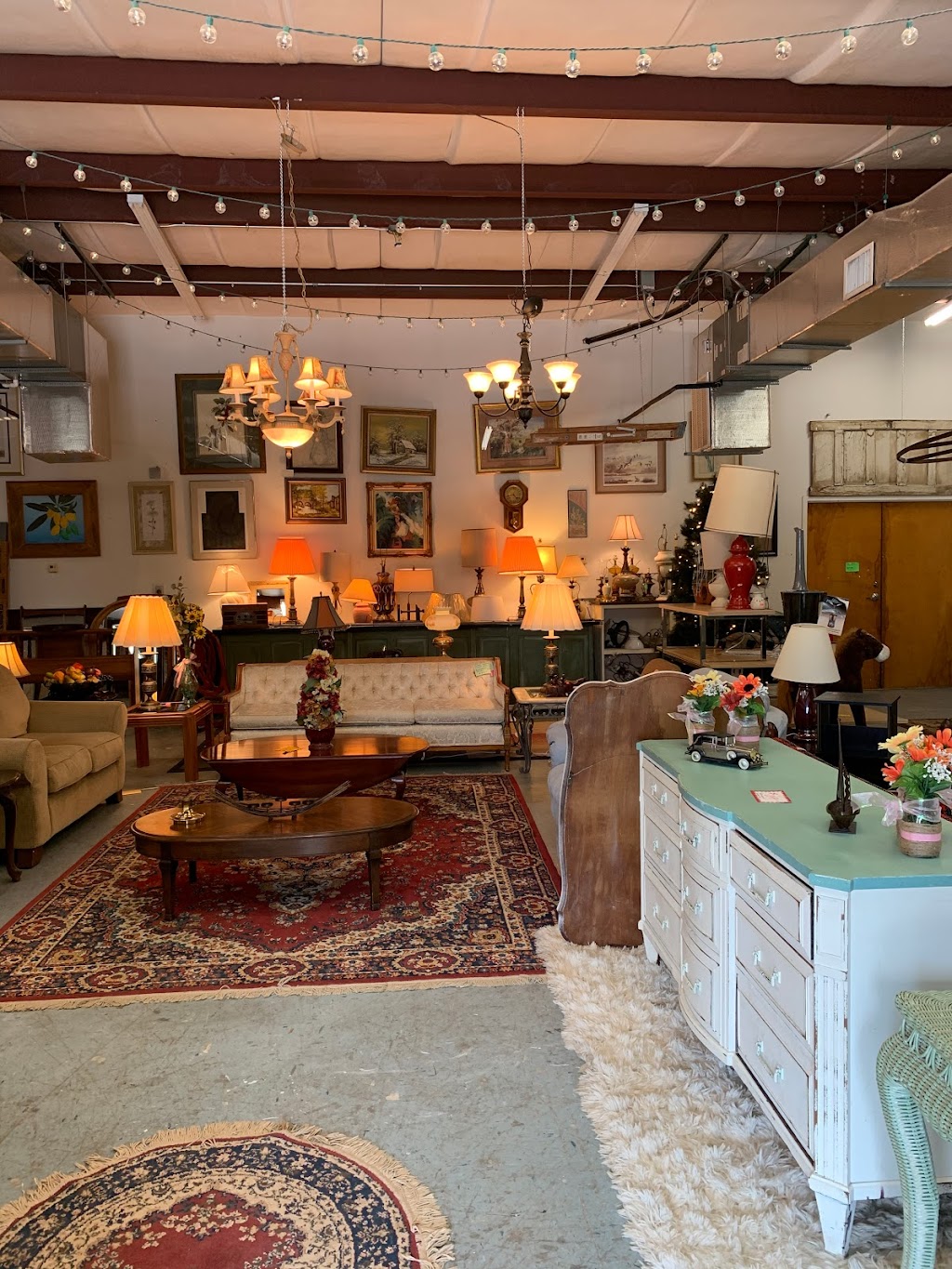 Animalade Incs Thrifty Dog Thrift Store | 9017 Commercial Way Unit C, Spring Hill, FL 34613, USA | Phone: (352) 701-1107