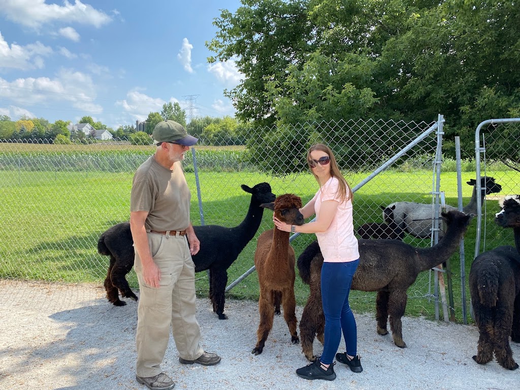 Greenbriar Farm Alpaca - MAM Consulting Associates Inc. | W237S4344 Big Bend Rd, Waukesha, WI 53189, USA | Phone: (262) 970-9633