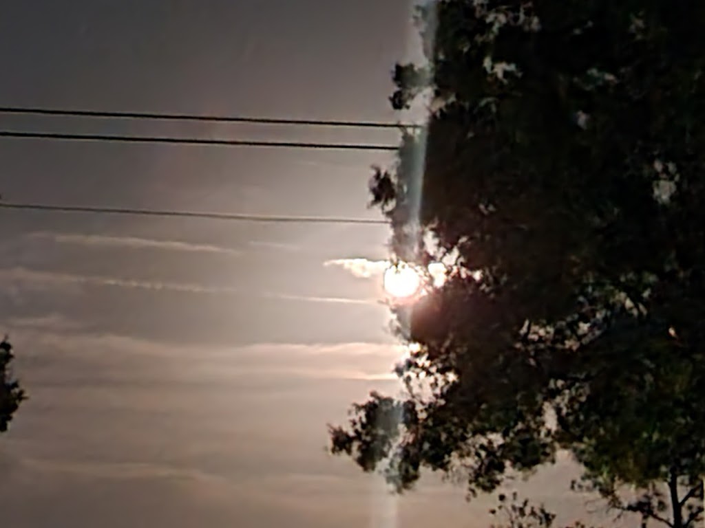 Temple Beth Shalom | 1029 Bradbury Rd, Winter Haven, FL 33880, USA | Phone: (863) 292-0722