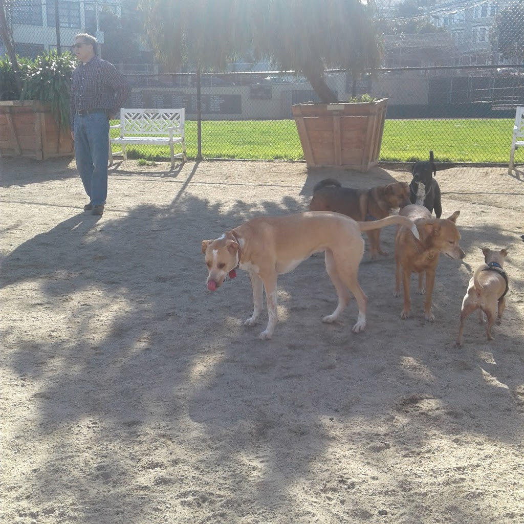 Rikki Streicher Field | 100 Collingwood St, San Francisco, CA 94114, USA | Phone: (415) 831-6810