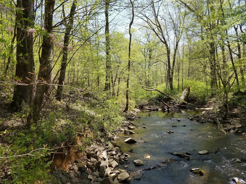 Johnston Mill Nature Preserve | 2713 Mt Sinai Rd, Chapel Hill, NC 27514, USA | Phone: (919) 908-8809