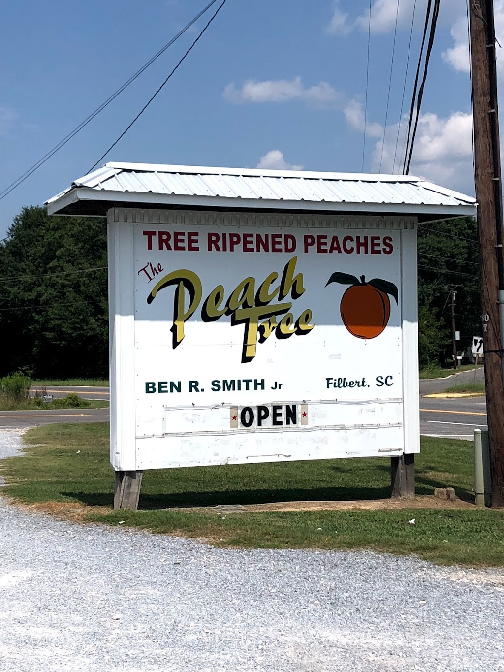Peach Tree | 2077 Filbert Hwy, York, SC 29745, USA | Phone: (803) 628-8514