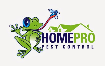 HomePro Pest Control | 708 S Battlefield Blvd Suite 101, Chesapeake, VA 23322, USA | Phone: (757) 499-1078