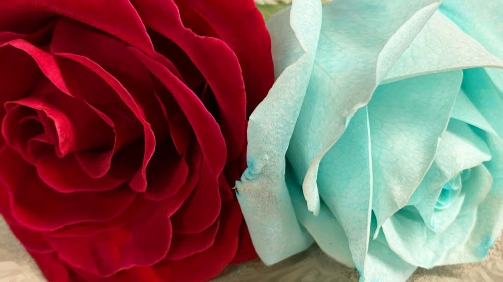 Roses and Such LLC ~ Florist / Flower Delivery | 1201 W Main St Suite B, Blue Springs, MO 64015 | Phone: (816) 224-0124