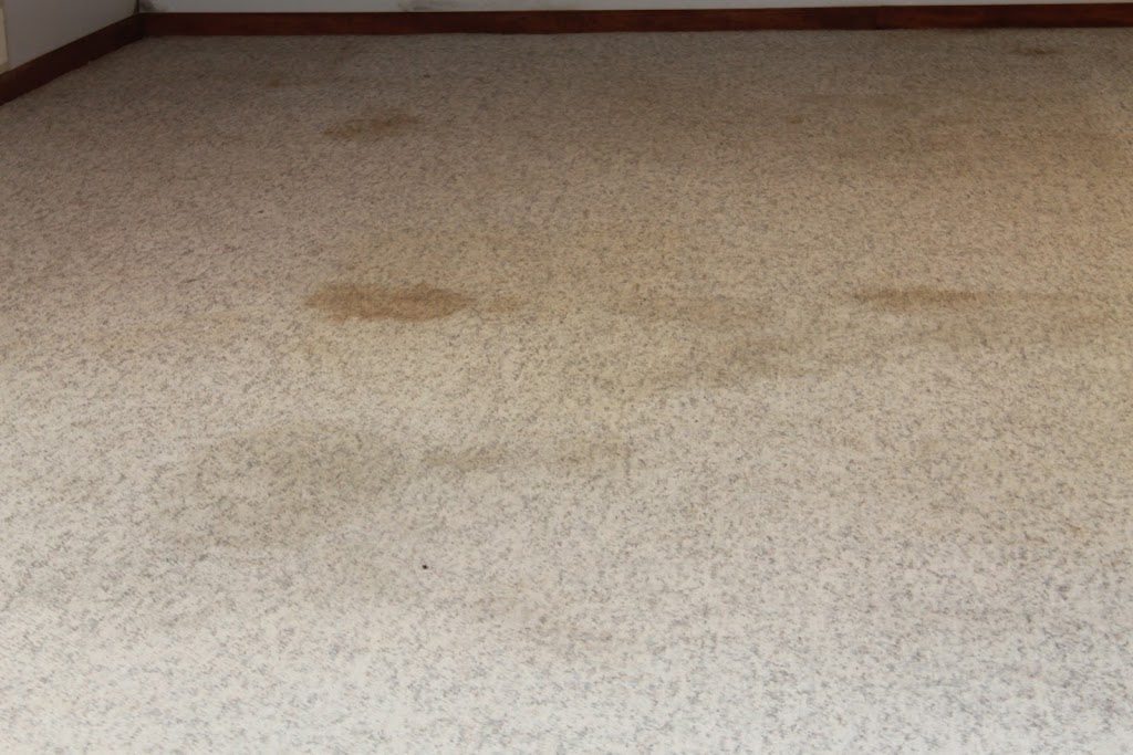 Extreme Professional Carpet and Upholstery Cleaning | 900 Lockmead Ct, Pataskala, OH 43062, USA | Phone: (614) 895-0903