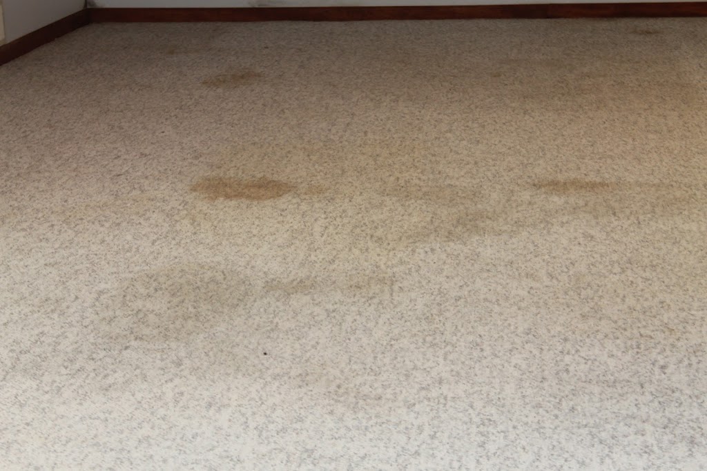 Extreme Professional Carpet and Upholstery Cleaning | 900 Lockmead Ct, Pataskala, OH 43062 | Phone: (614) 895-0903