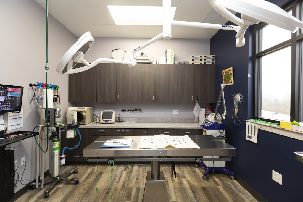 Animal House Veterinary Hospital | 4202 Jeffco Blvd, Arnold, MO 63010, USA | Phone: (636) 464-1038