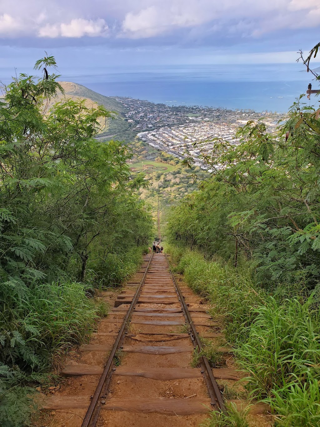 Koko Crater Botanical Garden | 7491 Kokonani St, Honolulu, HI 96825, USA | Phone: (808) 522-7060