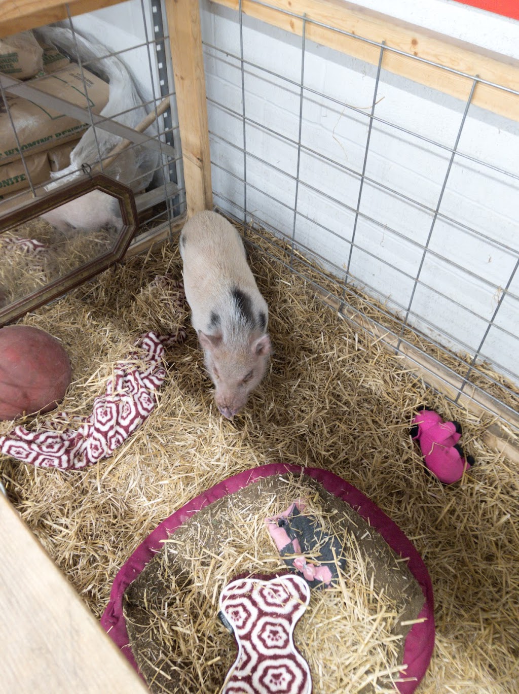 Buchheit of House Springs | 4550 Gravois Rd, House Springs, MO 63051, USA | Phone: (636) 671-8181