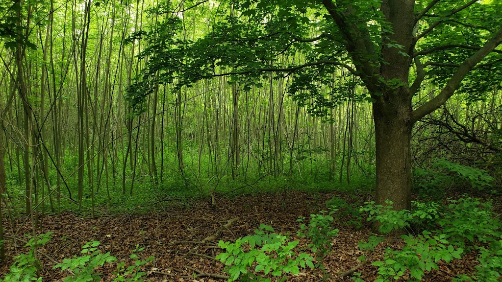 Lakewood Fort Hill Trail Parking | Trailhead parking is on west side of Gilmer Rd north of, IL-176, Mundelein, IL 60060, USA | Phone: (847) 367-6640