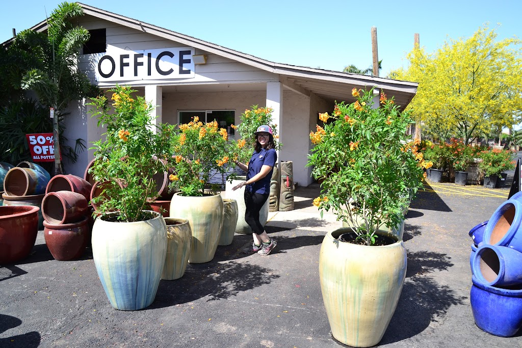 Moon Valley Nurseries | 2653 E McKellips Rd, Mesa, AZ 85213, USA | Phone: (480) 648-0943