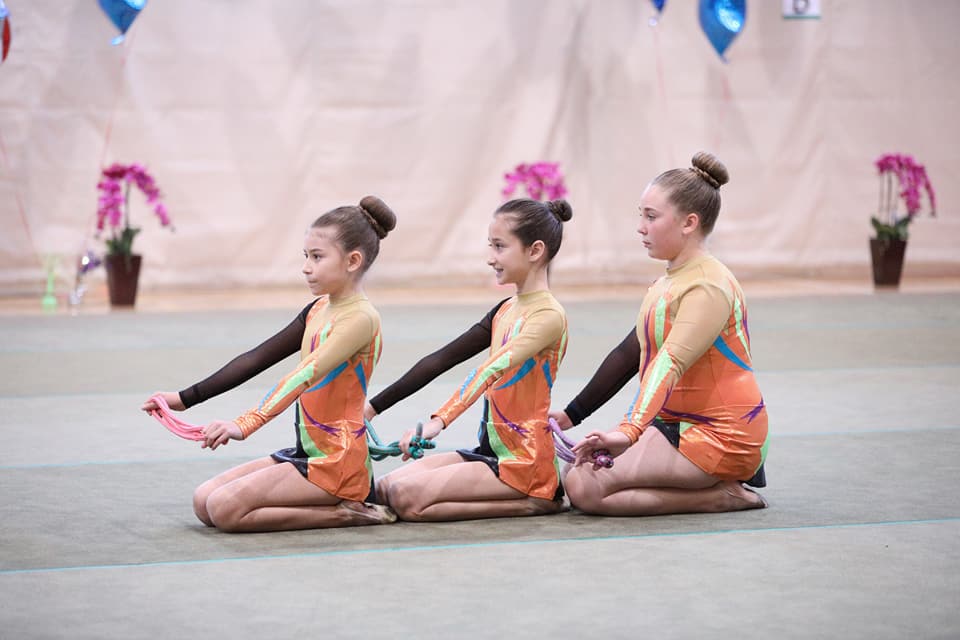 Valley-Wide Elite Gymnastics | 25625 Briggs Rd, Menifee, CA 92585, USA | Phone: (714) 600-3099