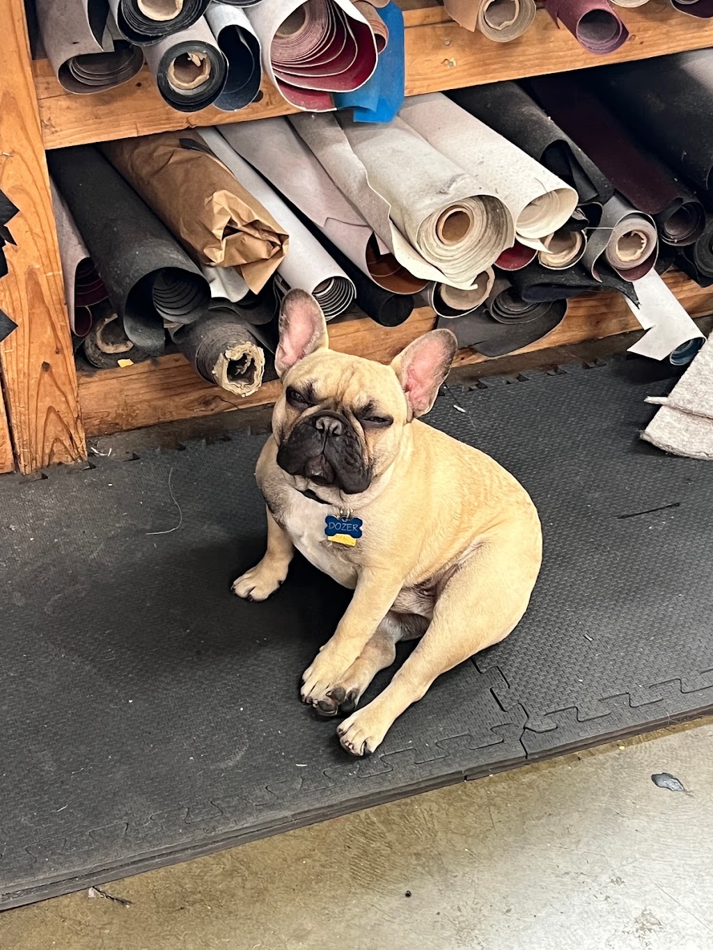 Autos International Inc | 1236 Simpson Way B, Escondido, CA 92029, USA | Phone: (760) 737-3565