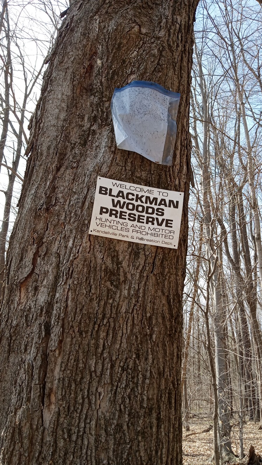 Blackman Woods Preserve | Kendallville, IN 46755, USA | Phone: (260) 347-1064