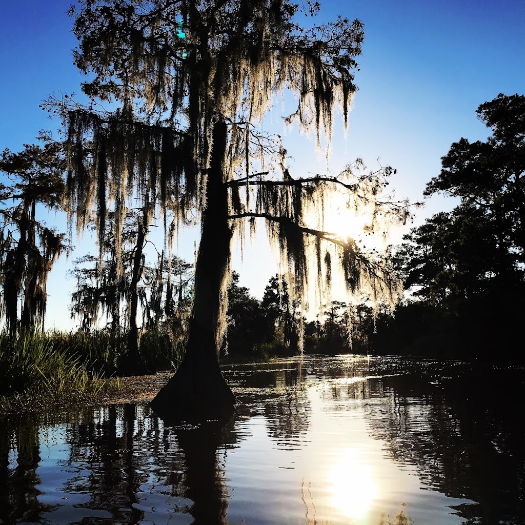 Bayou Adventure | 5145 Fleming Park Rd, Lafitte, LA 70067, USA | Phone: (504) 754-5300