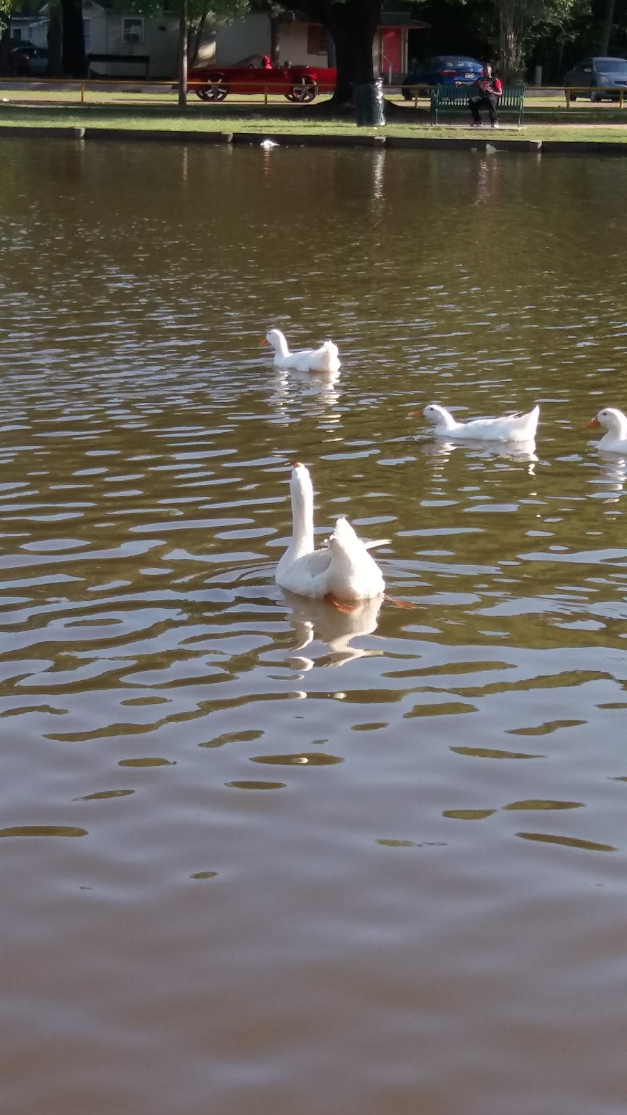 Zemurray Park | 400 S Oak St, Hammond, LA 70403, USA | Phone: (985) 277-5900