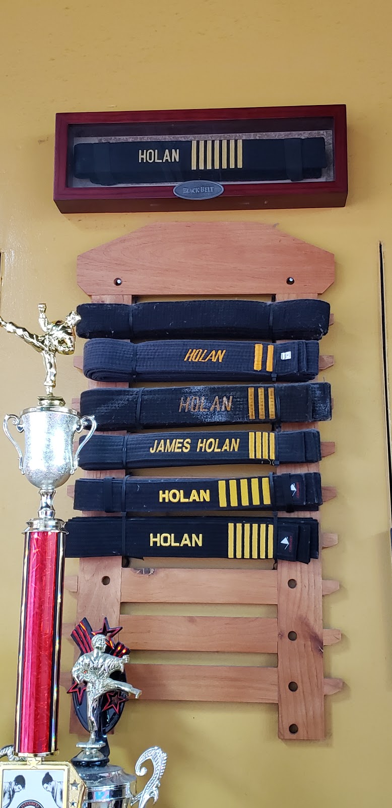 Holans Texas Karate Do American Karate MMA | 2700 N OConnor Rd Suite 132, Irving, TX 75062, USA | Phone: (972) 258-8333