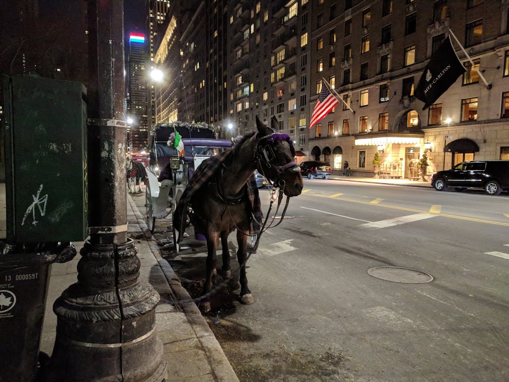 CENTRALPARKHORSES | 7TH AVE &, Central Park S, New York, NY 10019, USA | Phone: (212) 470-7893