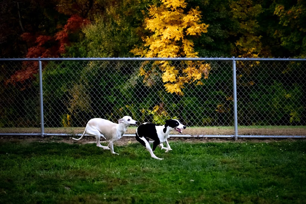 Friends of Alum Creek Dog Park | 3993 Hollenback Rd, Lewis Center, OH 43035, USA | Phone: (740) 548-4631