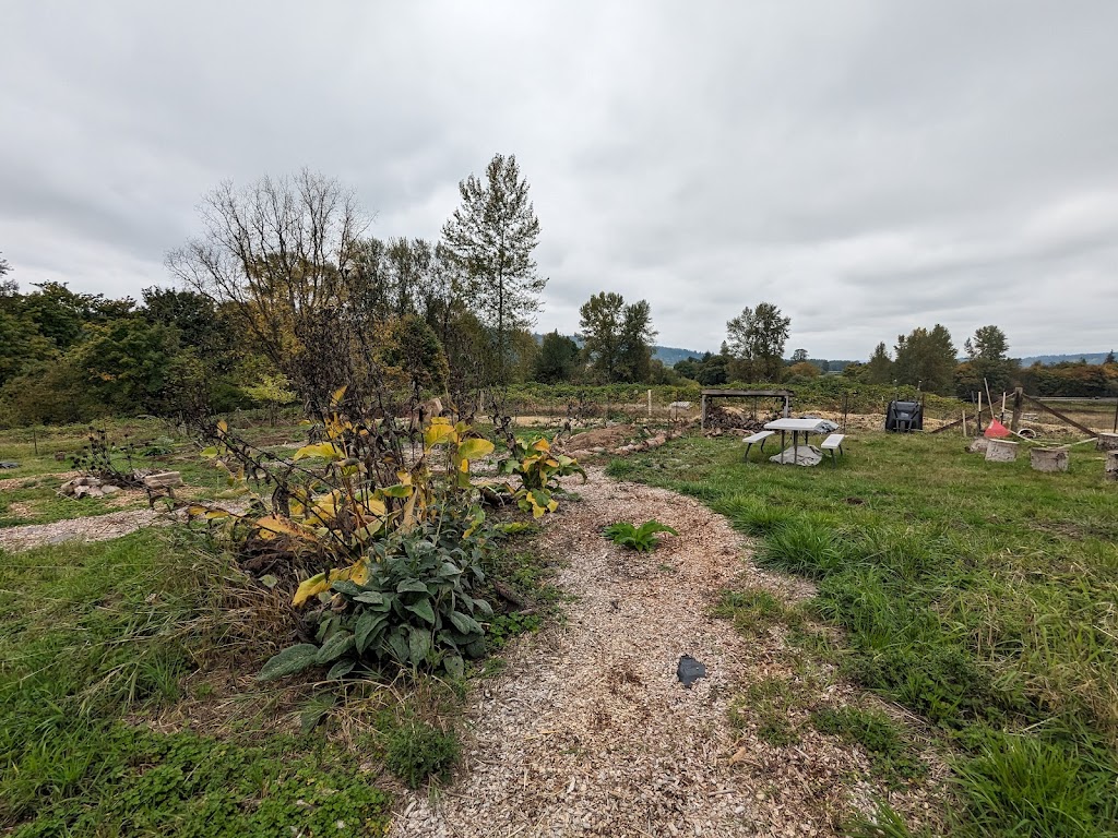 The Duvall Food Forest | 26524 NE Cherry Valley Rd, Duvall, WA 98019, USA | Phone: (949) 940-6409