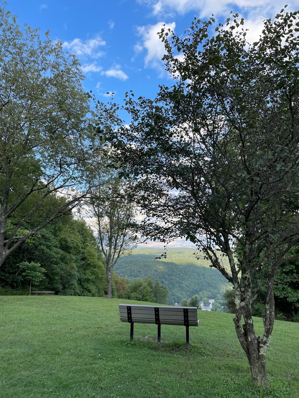 Tharp Knob Picnic Area #3 | Unnamed Road, Dunbar, PA 15431, USA | Phone: (724) 329-8591