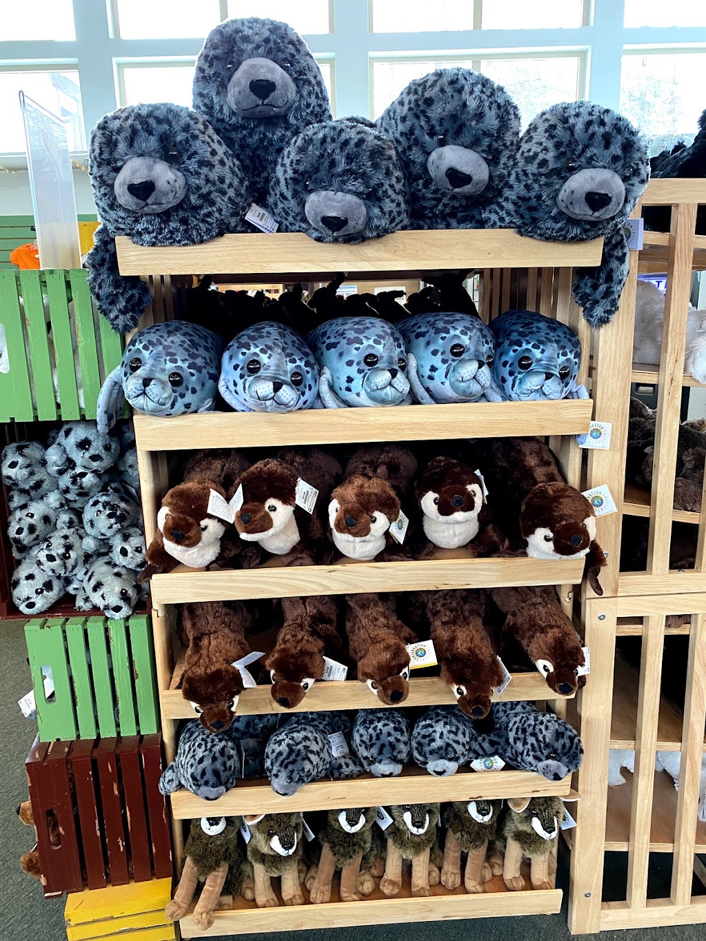 Alaska Zoo Gift Shop | 4731 OMalley Rd, Anchorage, AK 99507, USA | Phone: (907) 346-2133