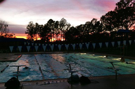 Aquastar Swimming - Sunday