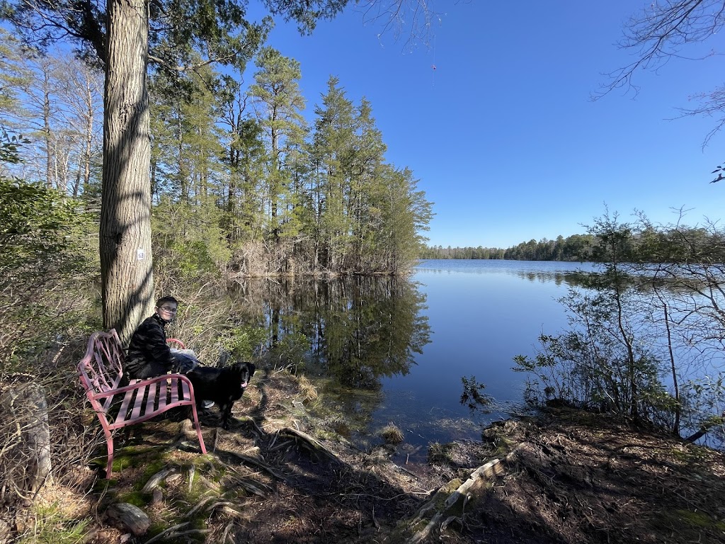 New Jersey Pinelands National Reserve | 853 Atsion Rd, Shamong, NJ 08088, USA | Phone: (609) 894-7300