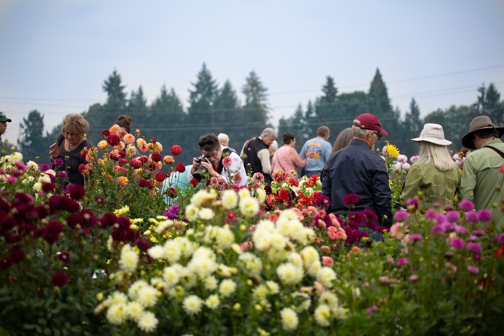 Swan Island Dahlias | 995 NW 22nd Ave, Canby, OR 97013, USA | Phone: (503) 266-7711