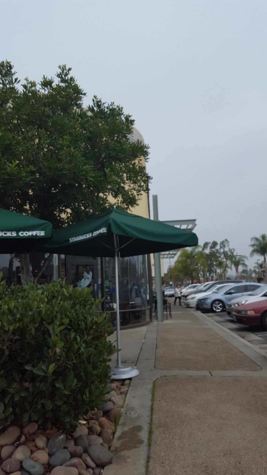 Starbucks | 1570 W Valley Pkwy, Escondido, CA 92029, USA | Phone: (760) 738-1669