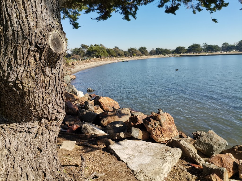 Doug Siden Visitor Center at Crab Cove | 1252 McKay Ave, Alameda, CA 94501, USA | Phone: (510) 544-3187