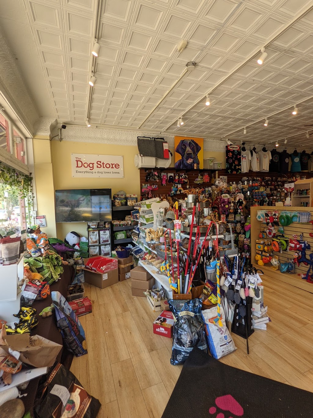 The Dog Store | 2301 Mt Vernon Ave, Alexandria, VA 22301, USA | Phone: (703) 685-9166