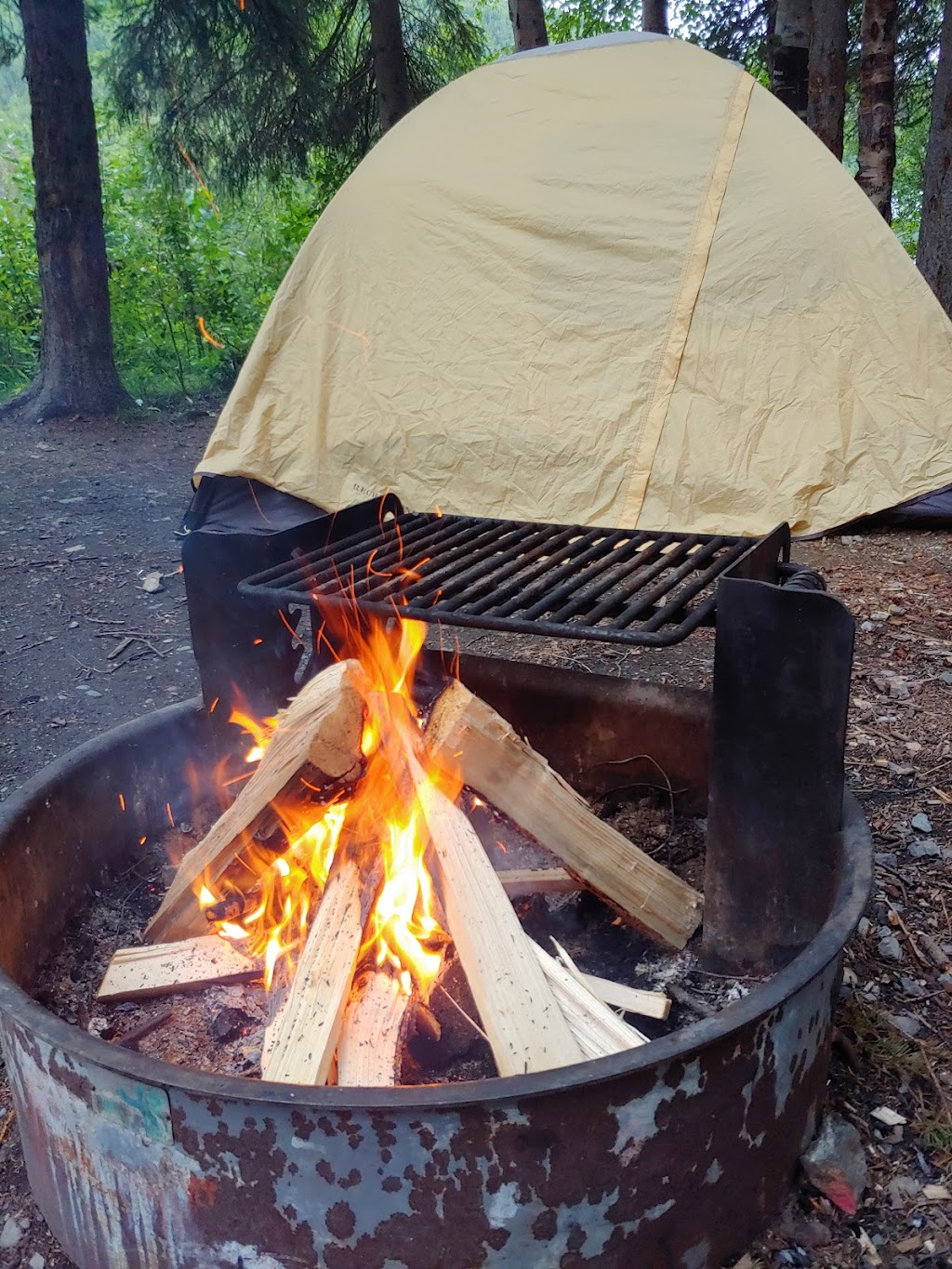 Hidden Lake Campground And Boat Launch | Alaska, USA | Phone: (907) 262-7021