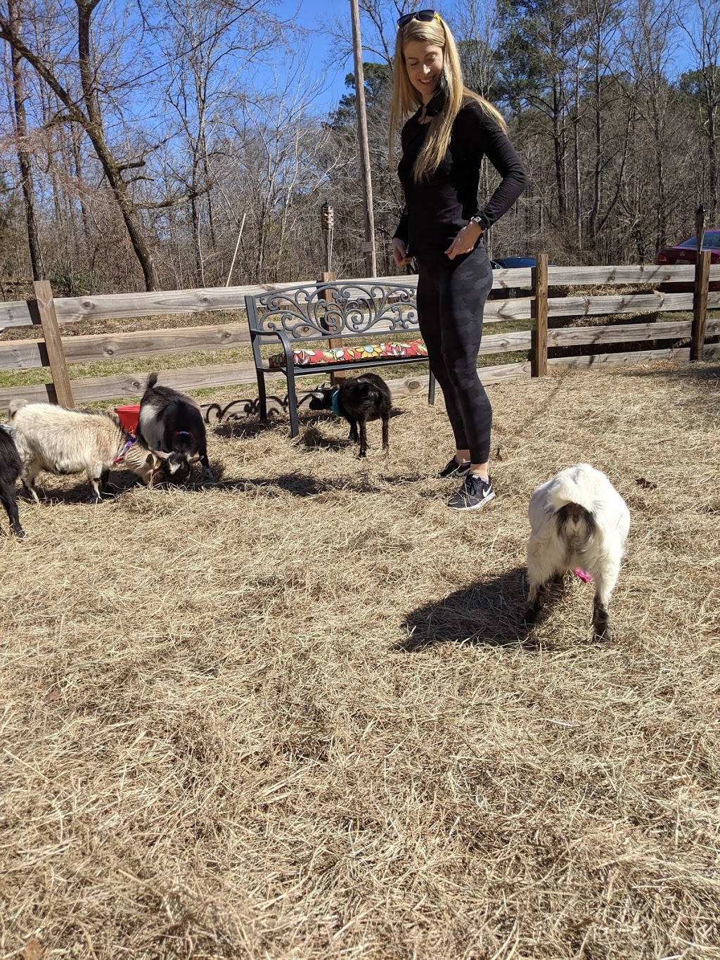 Goat Yoga Bham | 1441 Co Rd 277, Helena, AL 35080 | Phone: (205) 329-3701