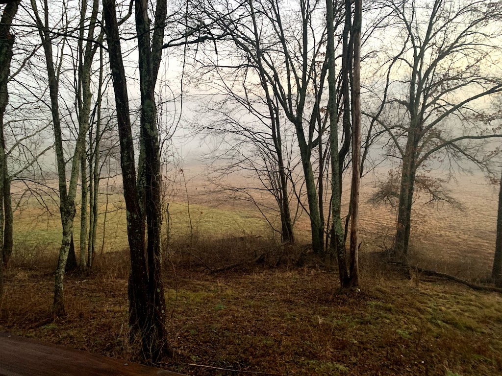 Little Cola Cabins | 14729 Little Cola Rd, Rockbridge, OH 43149, USA | Phone: (740) 216-6173