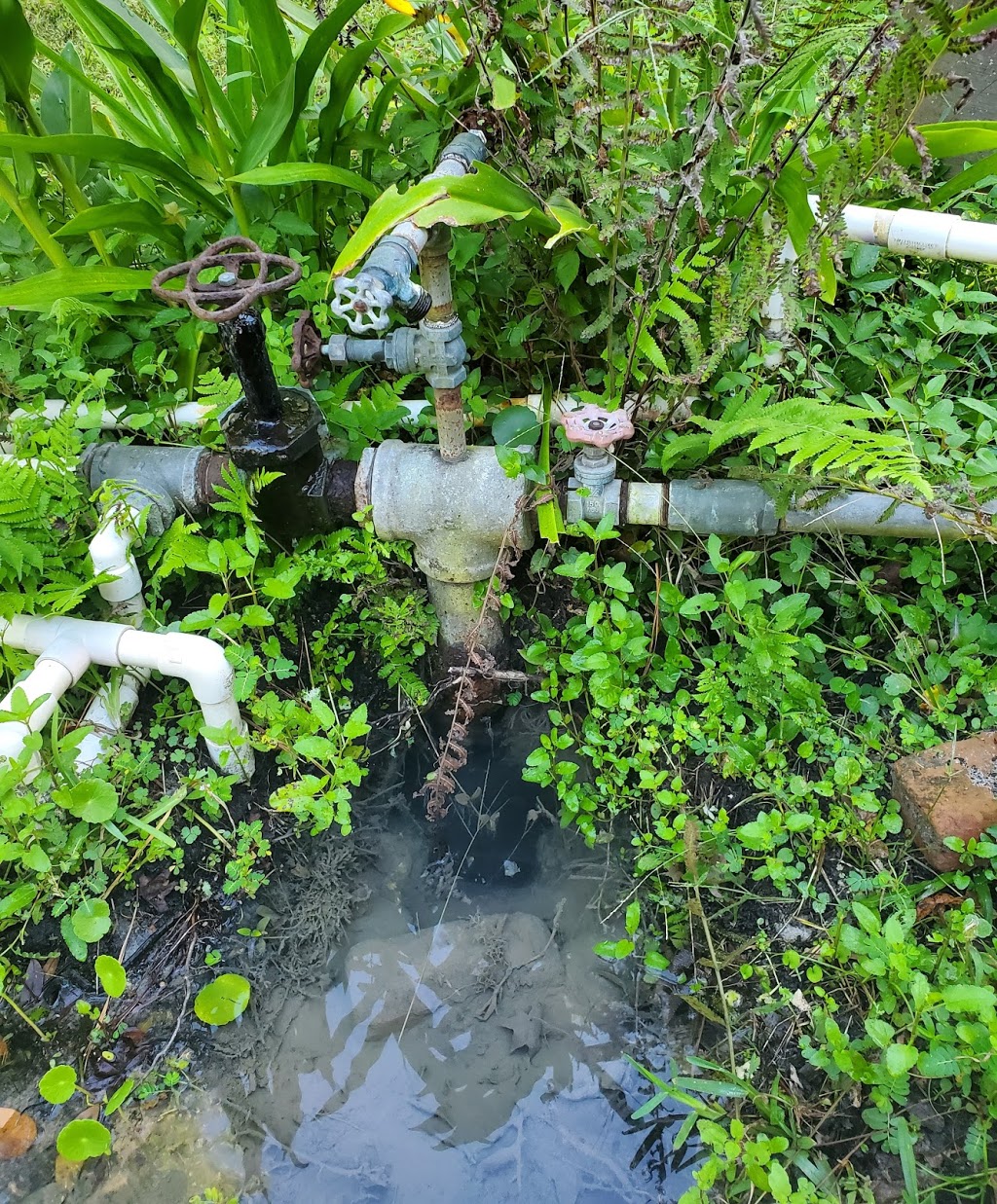 Proline Pump | 9 Bison Ct, Middleburg, FL 32068, USA | Phone: (904) 322-6791