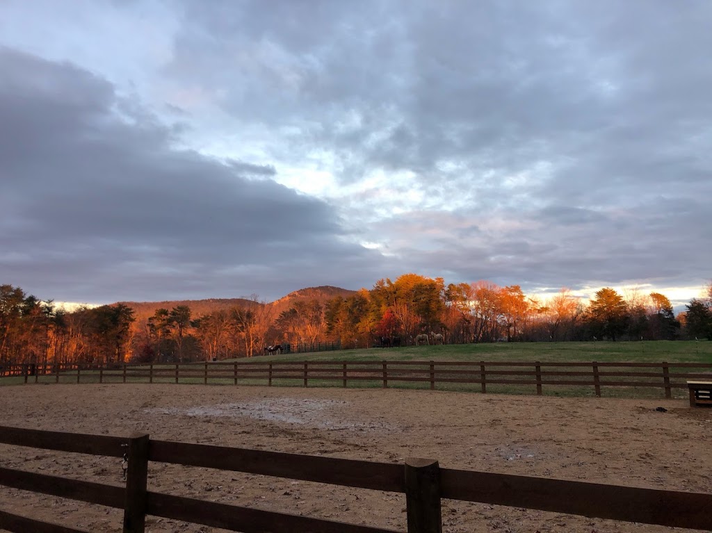 Winsome View Farm | 1275 Flat Shoals Rd, King, NC 27021, USA | Phone: (336) 618-1916