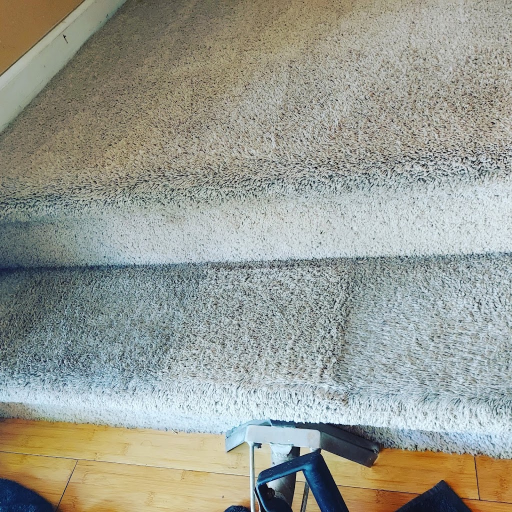 Fresh Step Carpet Cleaning | Turlock, CA 95382, USA | Phone: (209) 668-1819