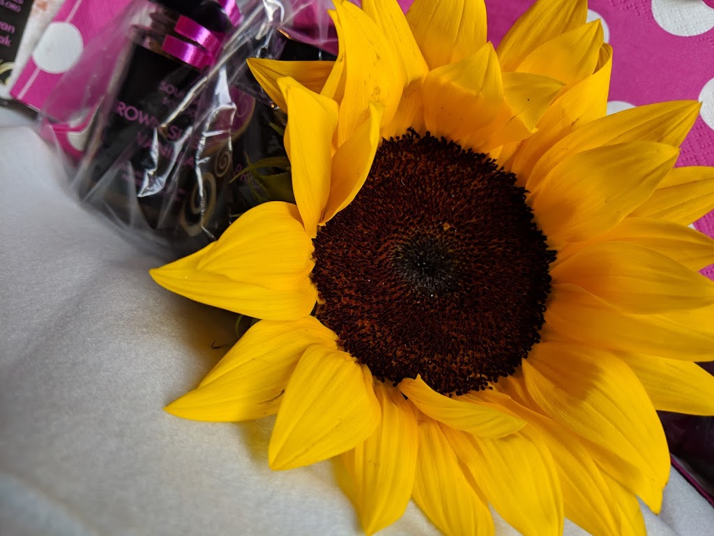 Soul Good Naturals | 343 Alsobrook St, Kirkwood, MO 63122, USA | Phone: (314) 858-1847