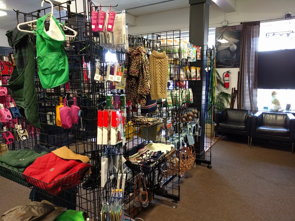 Dog Daze Natural Pet Market | 6522 River Rd E, Puyallup, WA 98371, USA | Phone: (253) 286-7786