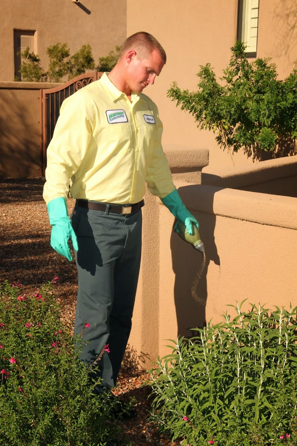 Northwest Exterminating | 4954 N Shamrock Pl, Tucson, AZ 85705, USA | Phone: (520) 888-2847