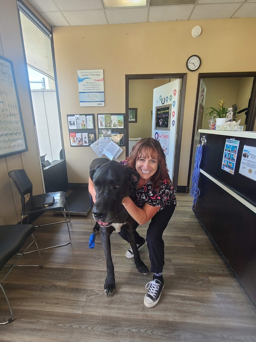 Shingle Springs Veterinary Clinic | 4211 Sunset Ln Ste 101, Shingle Springs, CA 95682, USA | Phone: (530) 677-0390