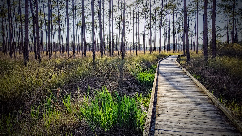 Big Branch Marsh National Wildlife Refuge | 61389 LA-434, Lacombe, LA 70445, USA | Phone: (985) 882-2000