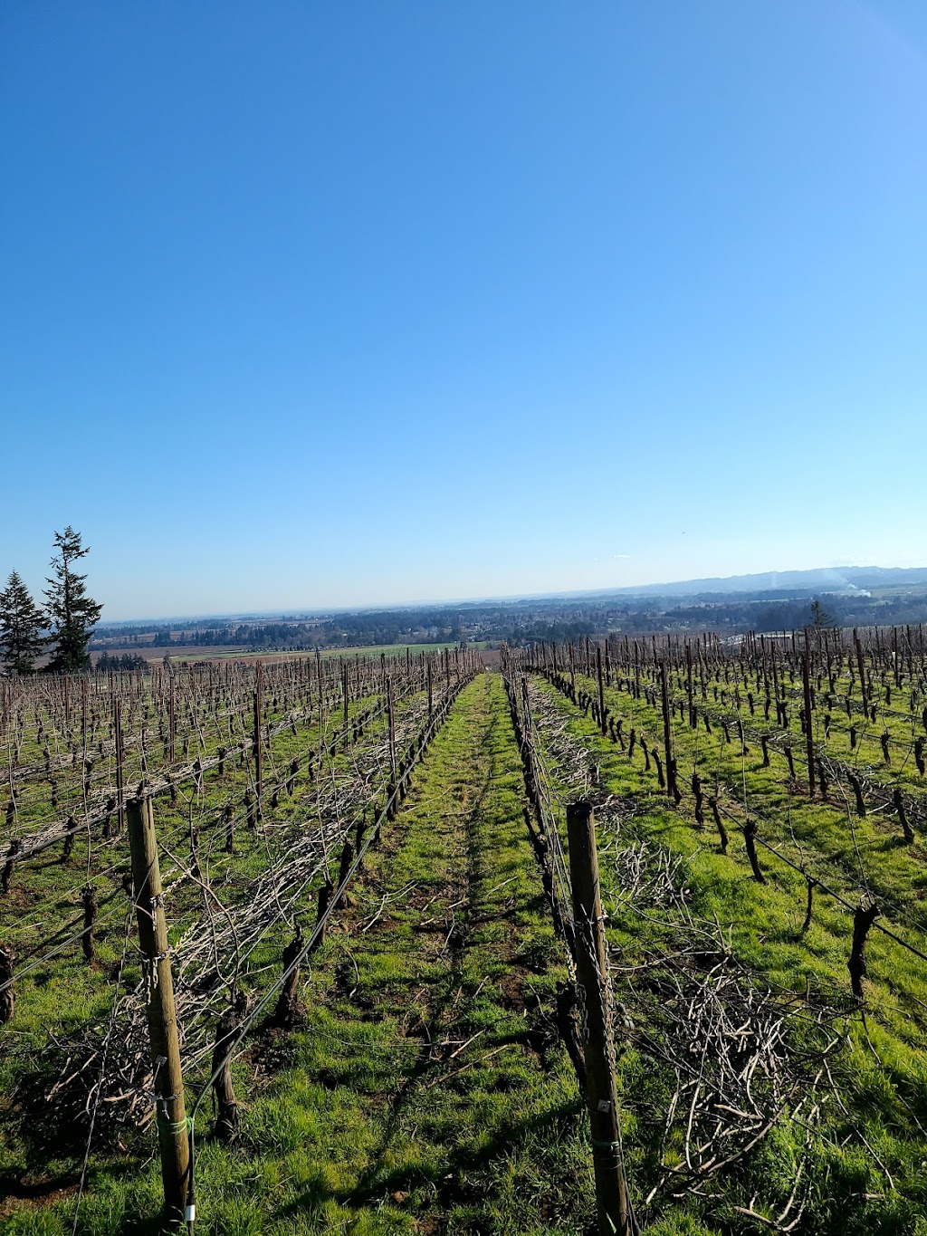 Equestrian Wine Tours | 6325 NE Abbey Rd, Carlton, OR 97111 | Phone: (503) 864-2336