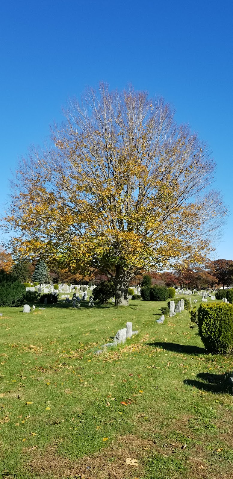 Greenfield Cemetery | 650 Nassau Rd, Uniondale, NY 11553, USA | Phone: (516) 483-6500