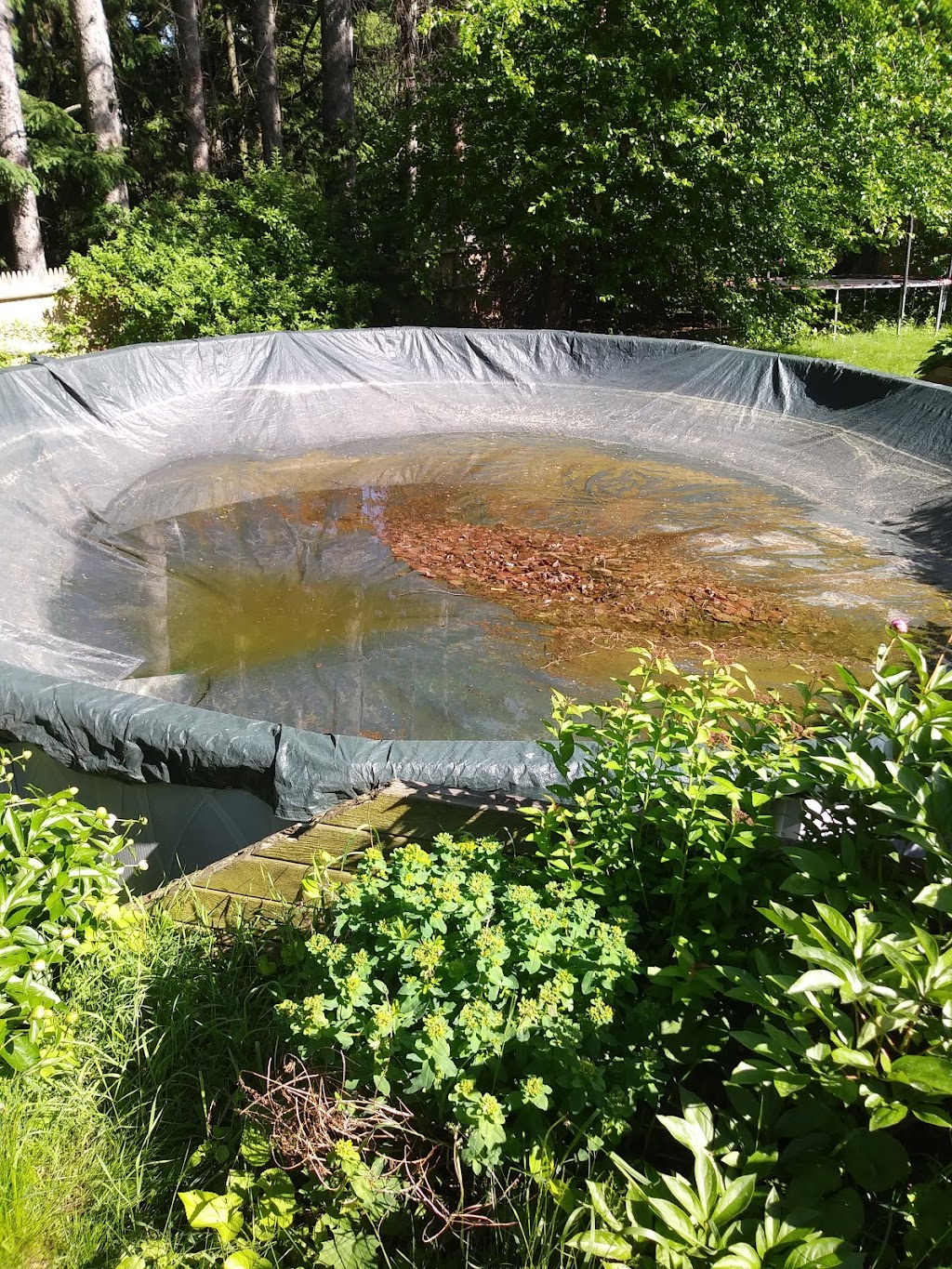 Loudon Ridge Farm | 336 Loudon Rd, Albany, NY 12211, USA | Phone: (518) 766-0407