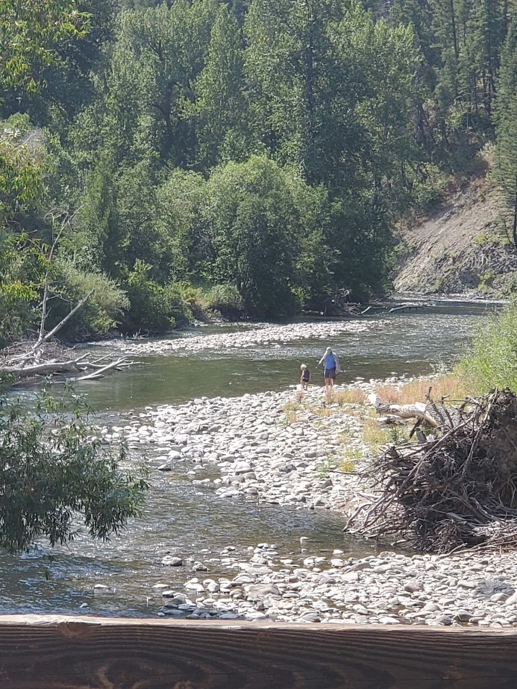 Bald Mountain Campground | Boise National Forest, Forest Road #203N, Boise, ID 83716, USA | Phone: (208) 373-4100