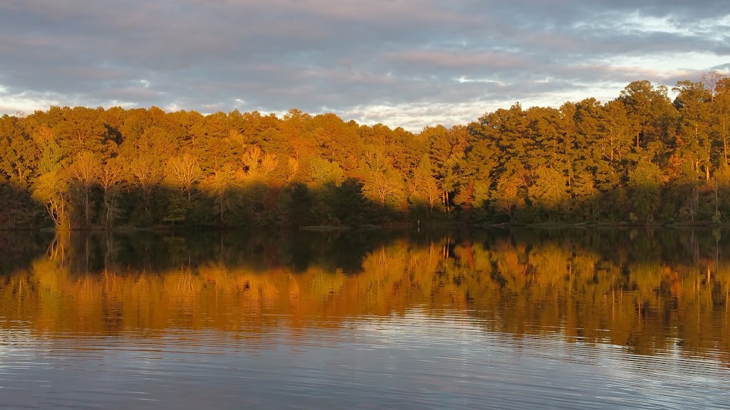 Walker County State Lake | 4227 Walker Co Lake Rd, Jasper, AL 35501, USA | Phone: (205) 221-1801