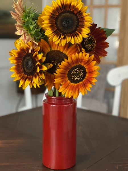 The Laughing Crow Flower Farm | 2710 River Rd W, Maidens, VA 23102 | Phone: (334) 332-2167